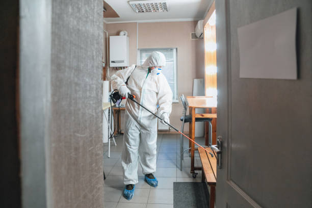 Best Mold Odor Removal Services  in Timpson, TX